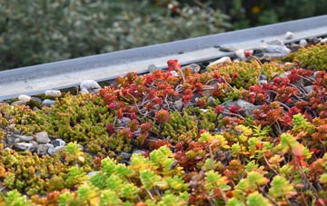 the cost of Hawthorns green roof installation